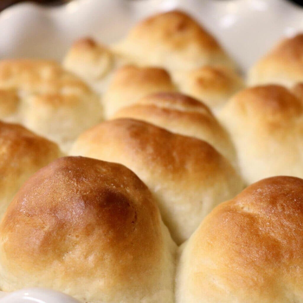 30 Minute Dinner Rolls Terriguess Recipes